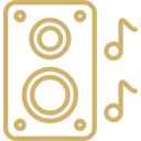 icoon speaker